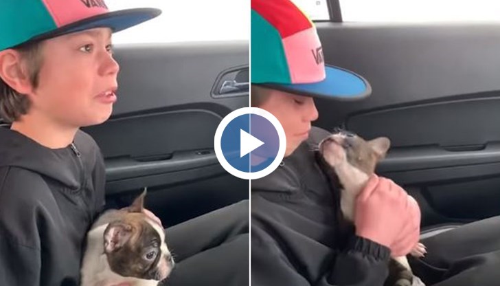 Преди да умре всеотдайният баща искал да организира изненада за сина си, а именно – домашен любимец