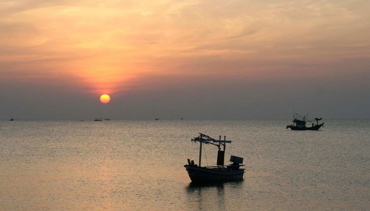 Хранели се с кокосови орехи, плаващи в морето, и са събирали дъждовна вода в купа