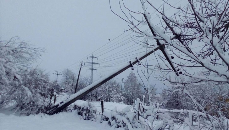 Екипите на енергодружеството са затруднени от дълбокия сняг в Балкана и падналите дървета в труднодостъпния район