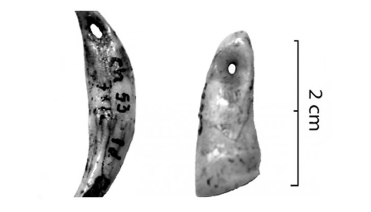 Открили са части от ДНК от така наречената “призрачна архаична популация”, криеща се в геномите на някои живи популации в Западна Африка като Йоруба от Нигерия и Менде на Сиера Леоне