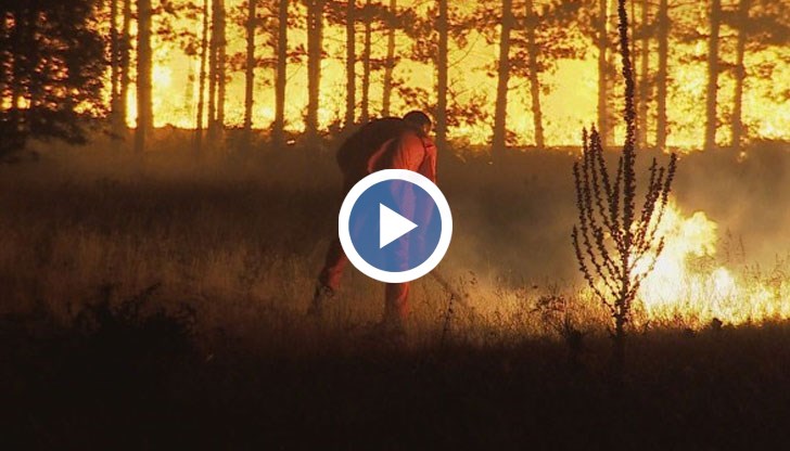 Безнаказаността, ражда повече и повече проблеми и притеснителното е вълната от подпалвания на ценни природни територии