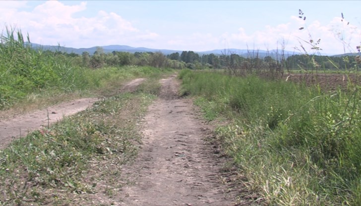 Едри земевладелци се възползват от незаинтересованост за обработване на терените