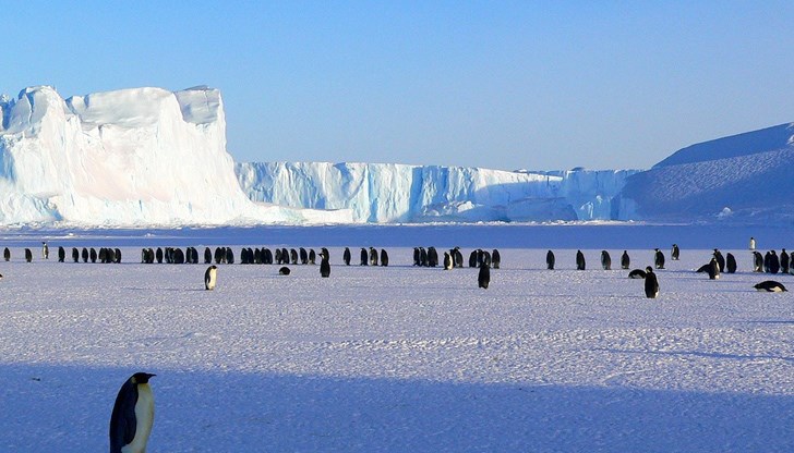 Метеоролози регистрираха рекордно висока температура в Антарктида