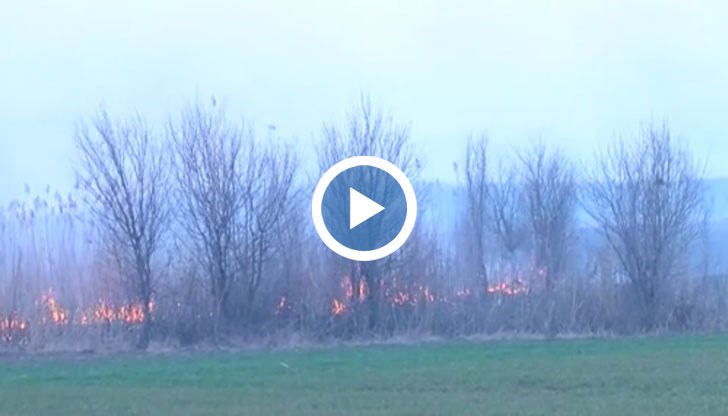 Горят близо 3000 декара, пожарникарите се борят с пламъците вече часове наред