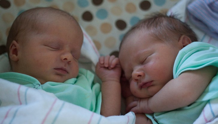 Истинско женско царство под покрива на „Селена“ Истинско женско царство под покрива на „Селена“