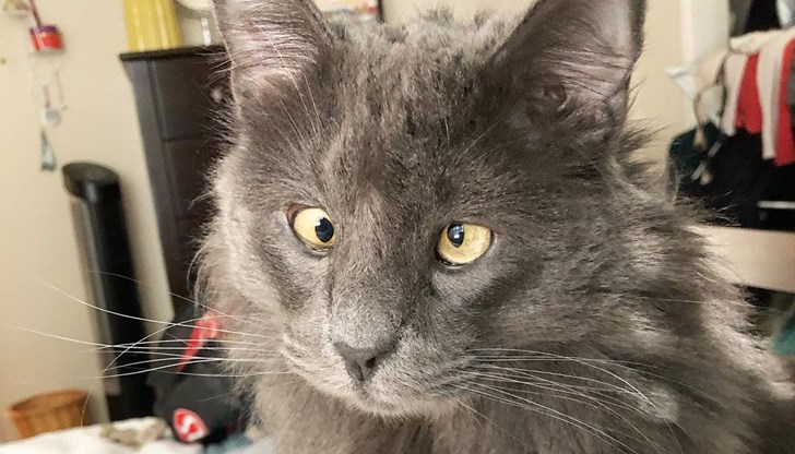 В Инстаграм той се появи с характерното си кривогледо изражение и с елегантни папионки В Инстаграм той се появи с характерното си кривогледо изражение и с елегантни папионки