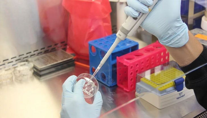 Учените откриха нова потенциална цел за разработване на антивирусни лекарства