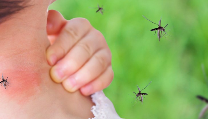 Комарите намират жертви по няколко начина едновременно