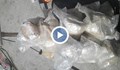 ГДБОП разби престъпна група за трафик на 72 кг хероин