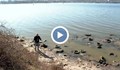 Спряха изтичането на отпадни води във Варненското езеро