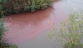 Коя фирма замърсява водите на река Русенски Лом?