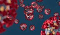16-годишно момиче почина от коронавирус във Франция