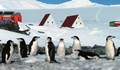 Българските антарктици се завръщат след успешна експедиция
