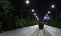 Община Русе ще ремонтира осветлението край разклон за Мартен