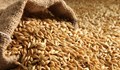 Русия спира износа на зърнени храни
