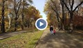 НОВИ МЕРКИ: Забраняват се разходките в паркове и градини