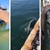 Кристална вода, лебеди и делфини в каналите на Венеция