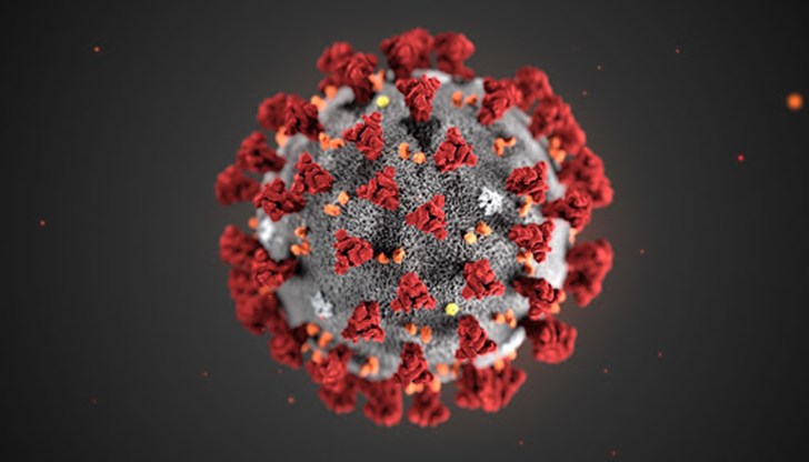 Новият коронавирус може да оцелее в продължение на часове извън човешкото тяло върху различни повърхности и дори във въздуха