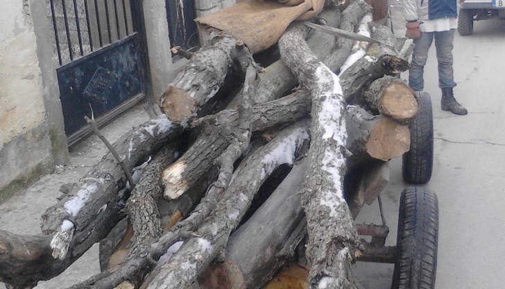 В РУ – Ветово е започнала проверка във връзка с установено лице, превозвало дървесина