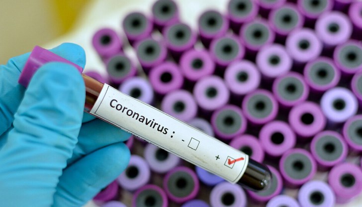 Това потвърдиха тестове, направени в Националната референтна лаборатория Това потвърдиха тестове, направени в Националната референтна лаборатория