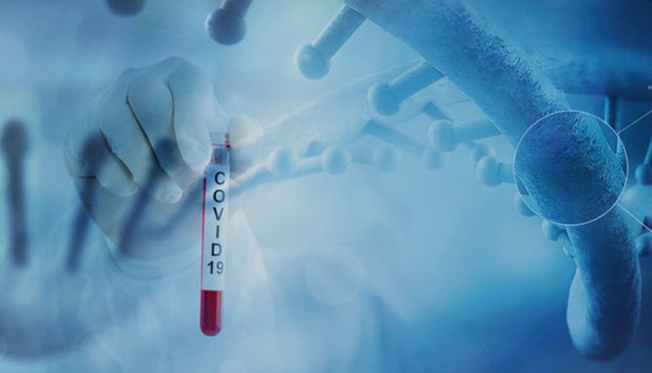 Стигна се и до опашки – вече има списъци от чакащите за месеци напред Стигна се и до опашки – вече има списъци от чакащите за месеци напред