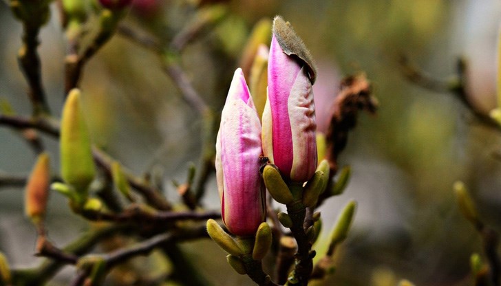 Ще има ли още сняг?