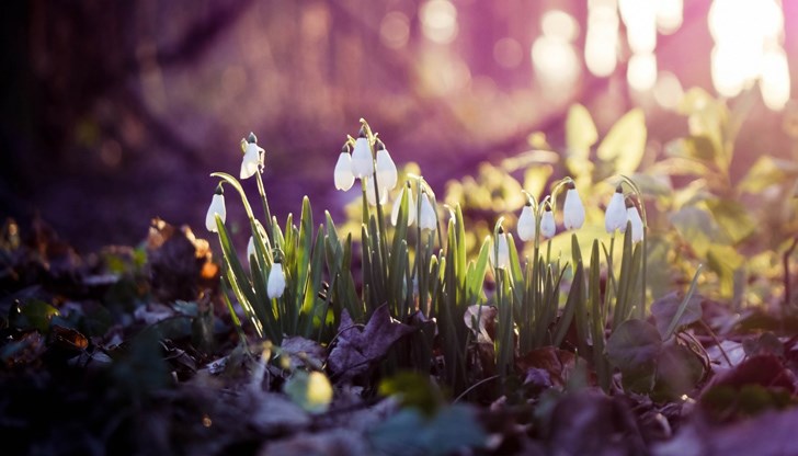 Над страната времето ще бъде предимно слънчево и топло Над страната времето ще бъде предимно слънчево и топло