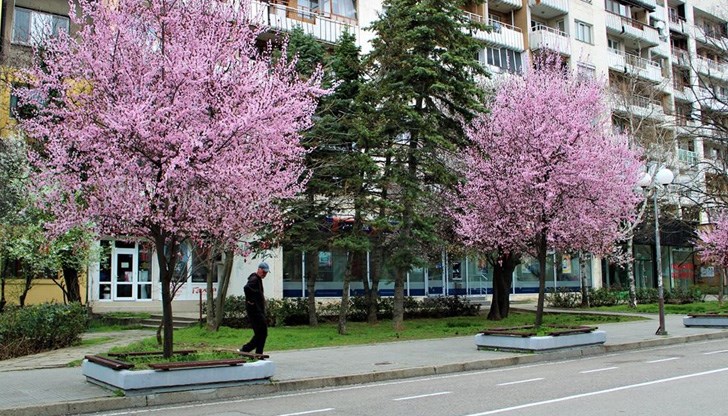 Не пишете в коментар негативите, те са в пъти повече и са ясни на всички! Не пишете в коментар негативите, те са в пъти повече и са ясни на всички!