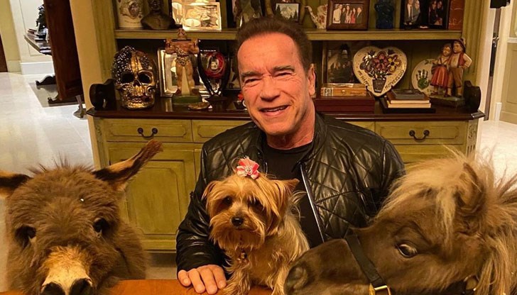 Актьорът умили феновете си с видео, в което е заснел четириногите