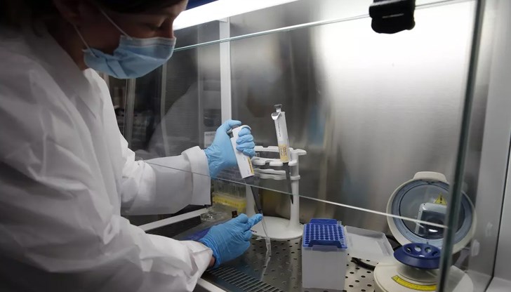 Учените отбелязват, че, макар тестваната група да е била много малка, резултатите са много обнадеждаващи Учените отбелязват, че, макар тестваната група да е била много малка, резултатите са много обнадеждаващи