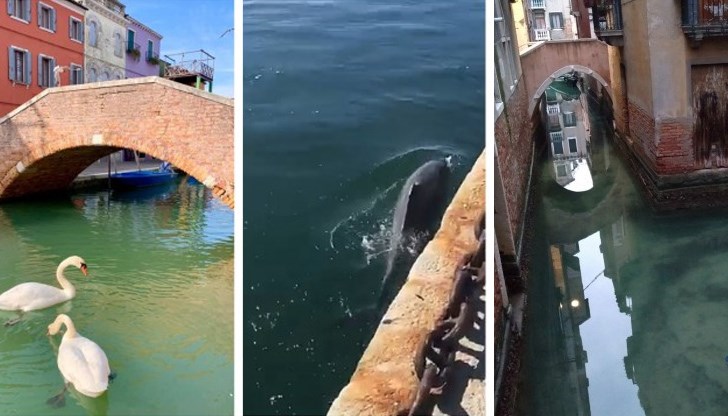 Позитивни последствия след карантината