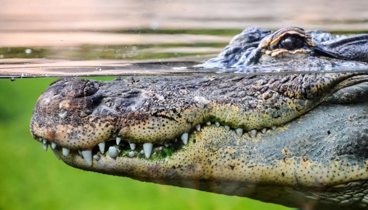 Този случай в далечна Руанда доказва, че е важно да спазваме периода на самоизолация