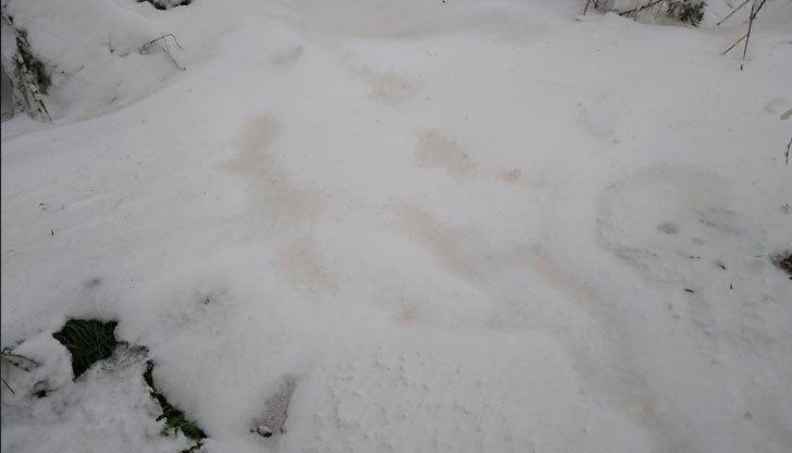 Замърсяванията са забелязани поне от Русе до Видинско