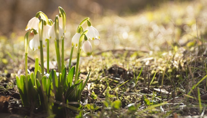 За утрешния празничен трети март очакваме високи температури