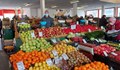 Две министерства тълкуват нареждането "Изкупете доматите"