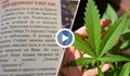 Урок с марихуана за VIII клас възмути родители