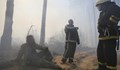 Овладяха пожара край Чернобил
