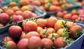 Хванаха 5 тона домати с пестициди от Турция