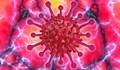 СЗО: COVID-19 е 10 пъти по-смъртоносен от свинския грип