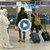 Болен от коронавирус се прибра със самолет от Нидерландия