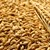 Румъния разреши износа на зърно