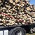 Дирекция по горите в Русе състави 9 акта за незаконна сеч на дърва