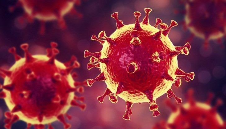 Той е в добро състояние и е поставен под 28-дневна домашна карантина