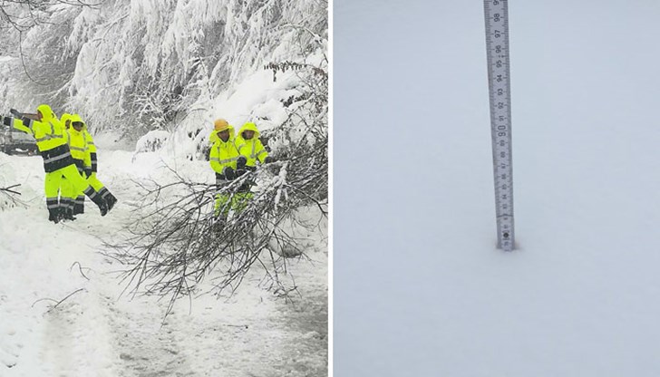 Снежната покривка достигна метър, повалени дървета пречат на снегопочистването