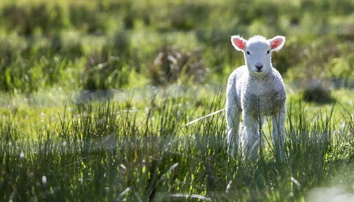Очаква ни слънчево и топло време Очаква ни слънчево и топло време