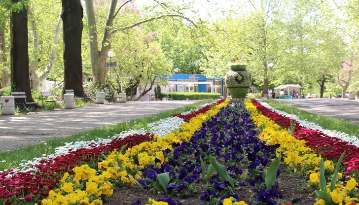 30 000 стръка цветя вече красят повърхността на декоративната инсталация