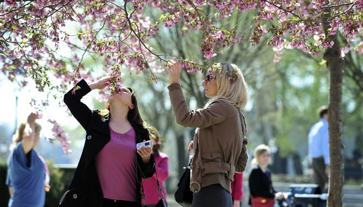 Шведски епидемиолог твърди, че епидемията от коронавирус така или иначе не може да бъде спряна, дори и със строга карантина Шведски епидемиолог твърди, че епидемията от коронавирус така или иначе не може да бъде спряна, дори и със строга карантина
