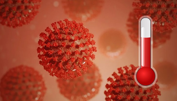 За експеримента френските учени са използвали клетки от бъбреците на вид африканска маймуна, заразени с коронавирусен щам