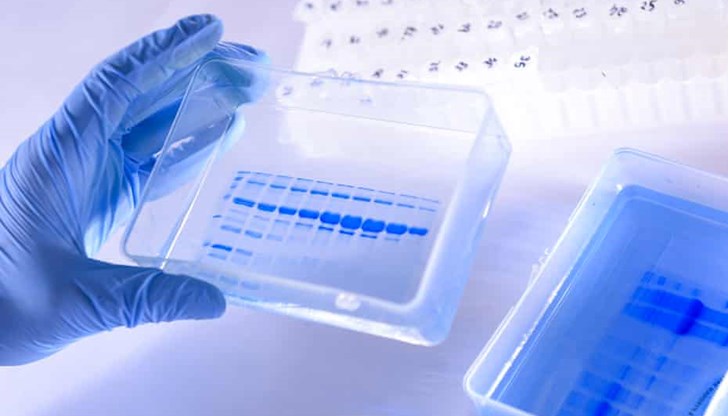 Тя предизвиква имунна реакция на нива, които могат да предотвратят заразяване