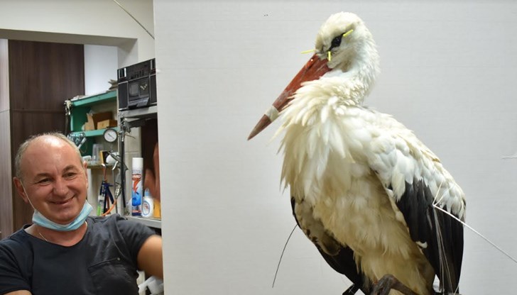 Това са щъркел, сова, сврака и гларус